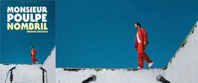 Monsieur Poulpe