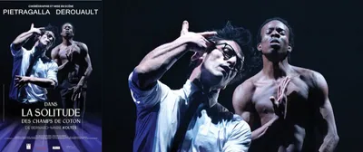 DANS LA SOLITUDE DES CHAMPS DE COTON