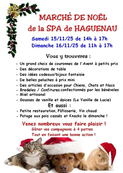 MARCHÉ DE NOËL DE LA SPA DE HAGUENAU