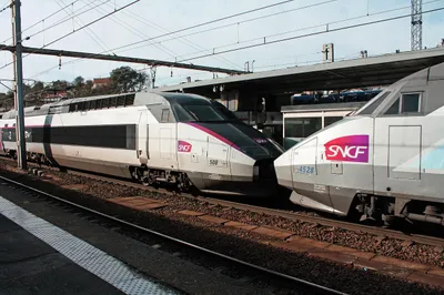 TGV Paris-Nice immobilisé en pleine campagne : des centaines de passagers bloqués pendant des heures