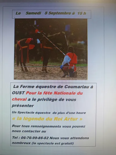 Oust : un spectacle équestre autour de la légende du roi Arthur