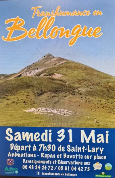 Transhumance en Bellongue
