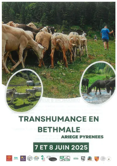 Transhumance en Bethmale