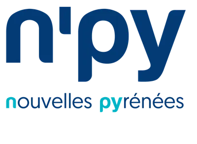 Logo NPY