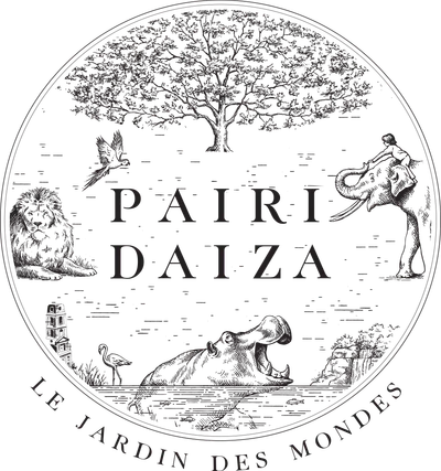 PAIRI DAIZA