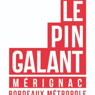 Logo Pin Galant