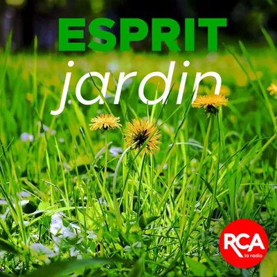 Esprit jardin - Juin 2024
