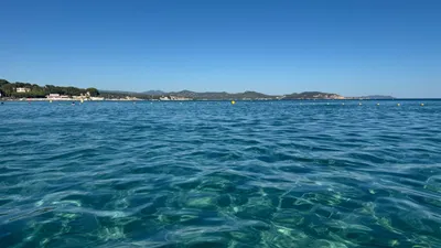 Méditerranée : cultiver pour reconstruire le lien