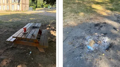 Feux et déchets en tout genre dans le parc municipal de...