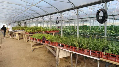 Découvrez l’agriculture locale avec “La ferme ? C’est le moment de...