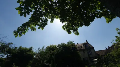 🔊Le soleil fait son retour avec une douceur printanière 