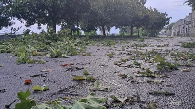 Tempête Goretti : 900 foyers toujours privés d'électricité en...