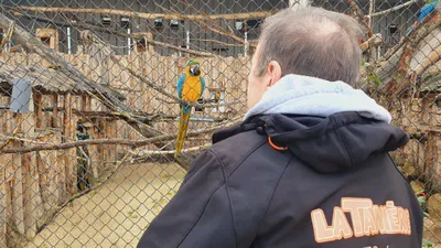 Près de 17 000 euros lors des enchères de La Tanière