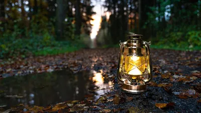 Visites nocturnes de la chapelle royale de Dreux