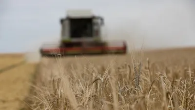 EURE-ET-LOIR - Les agriculteurs invités à suspendre la moisson de...
