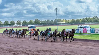 🔊La saison 2026 s’ouvre ce dimanche à l'hippodrome