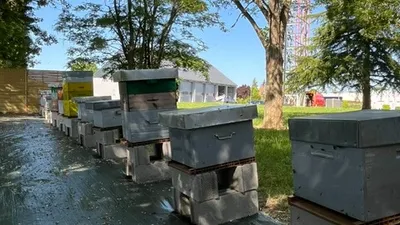 Cette caserne de pompiers "b(u)zz" pour la biodiversité !