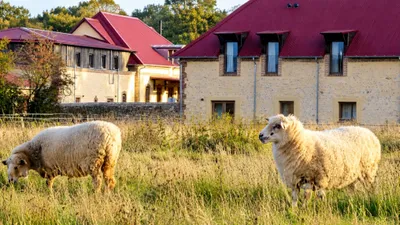 🔊 Grand Jardin, la ferme hôtelière inédite à Lamblore