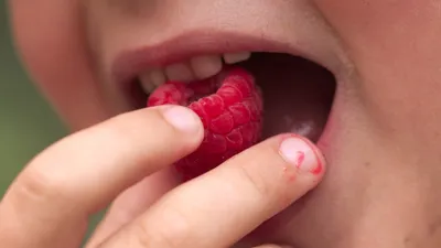 Des fruits distribués à la récrée dans quatre collèges