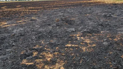 Feu de champ à Saint-Sauveur-Marville