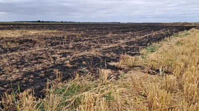 Un feu tout proche des habitations à Vitray