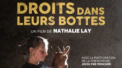 Un documentaire pour réfléchir à l’élevage de demain au Compas