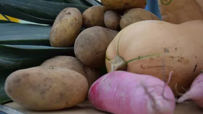 L'Eure-et-Loir dit "non" aux produits du Mercosur pour ses cantines 