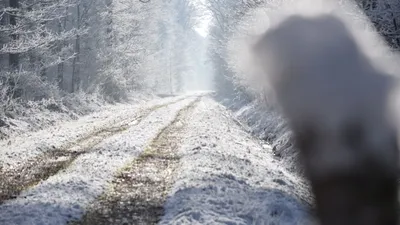 Vigilance orange "Neige et verglas" activée