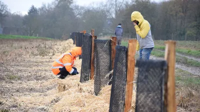 La Fondation du patrimoine soutient les fermes en agroforesterie