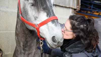 🔊 Une jument percheronne d'Eure-et-Loir au Salon de l'Agriculture