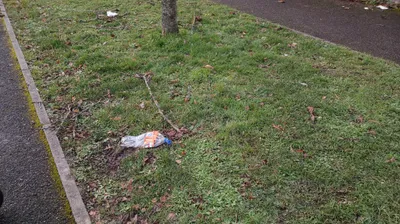 Des dizaines de sacs remplis de déchets, ramassés dans la nature