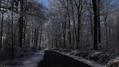 De la neige pour Noël ?