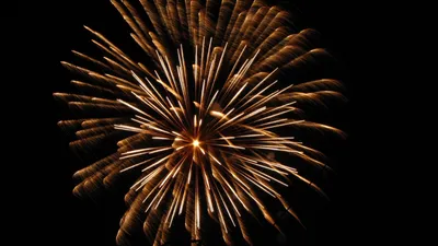 Détention de feux d'artifices et transport de bidons d'essence...