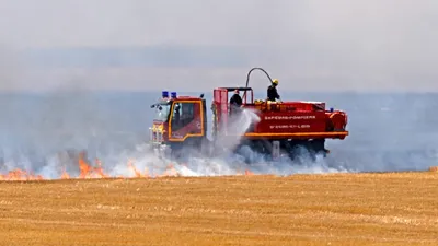 5000m² de champs détruits par un incendie