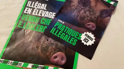 L214 appelle à la mobilisation ce week-end à Chartres