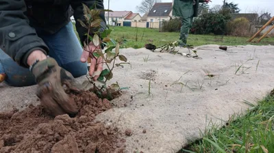 Boncourt : un chantier nature participatif ce samedi à la Réserve
