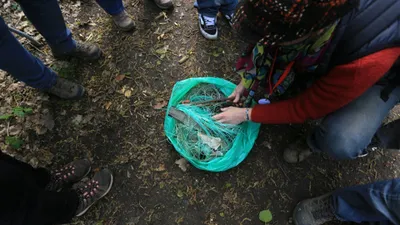 Une centaine de personnes contre la bâche en forêt de Dreux
