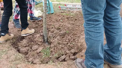 Une journée pour planter des arbres à Chartres