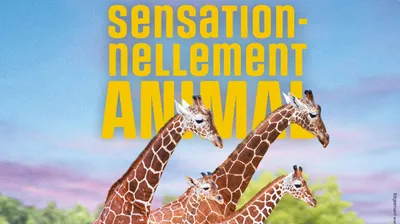 Gagnez vos places pour le ZooParc de Beauval sur Intensité