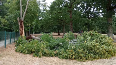 De premiers dégâts après les orages du 3 août