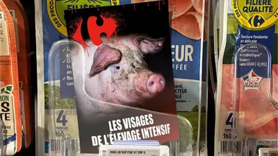 Les élevages intensifs de nouveau dénoncés par L214 