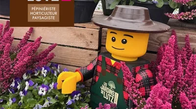 C'est l'automne ! Jouez et plantez ce que vous voulez avec...