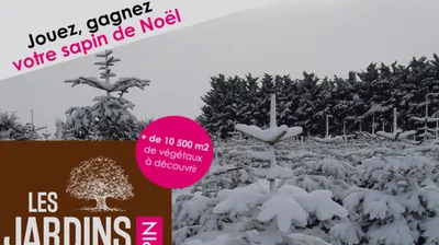 Préparez les décos, Intensité vous offre votre sapin de Noël