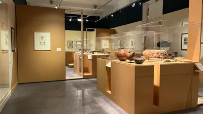 🔊 Le Musée des Beaux-Arts de Chartres voyage au cœur des Fidji...