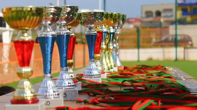 Les clubs sportifs nogentais honorés