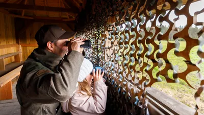 Chambord au crépuscule, pour découvrir la faune sauvage