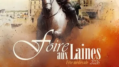CHÂTEAUDUN - Foire aux laines