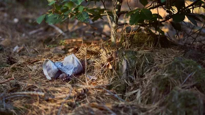Bonneval contre les déchets sauvages