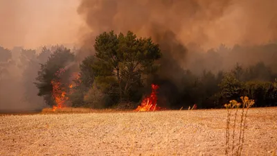 Loir-et-Cher : un pyromane interpellé grâce au sang-froid des...
