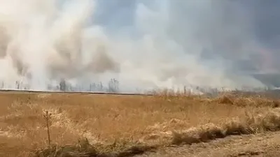 Eure-et-Loir : Plus de 130 hectares ravagés par les flammes ce...